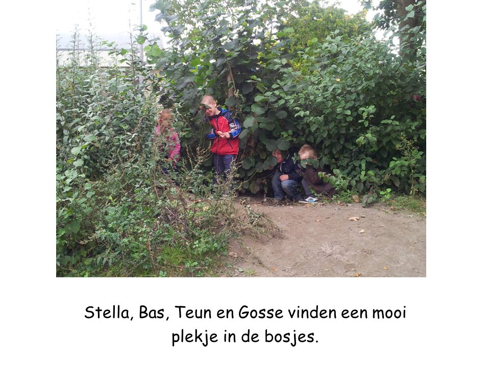 Stella, Bas, Teun en Gosse vinden een mooi plekje in de bosjes.