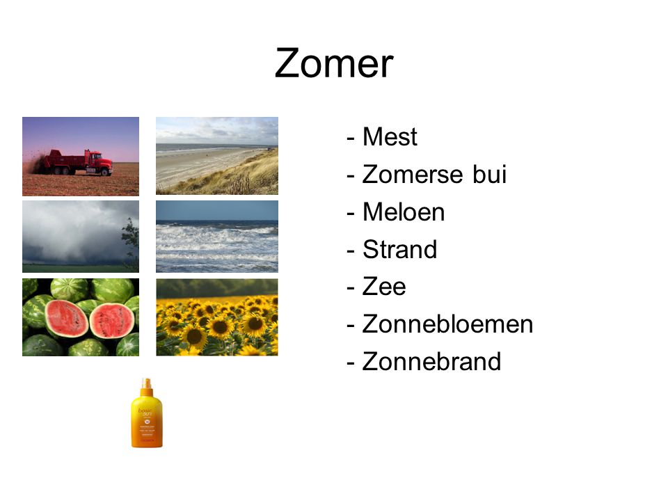Zomer - Mest - Zomerse bui - Meloen - Strand - Zee - Zonnebloemen - Zonnebrand