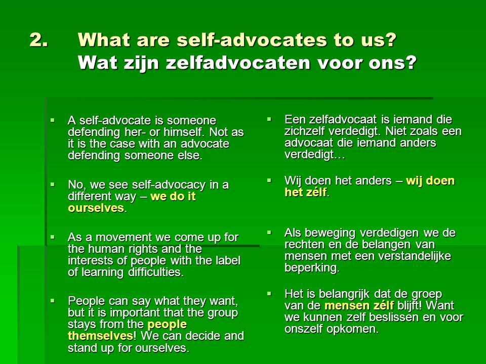 2. What are self-advocates to us. Wat zijn zelfadvocaten voor ons.
