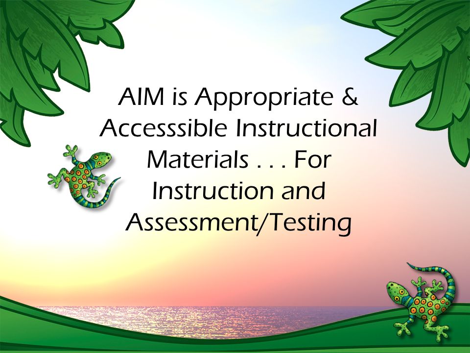 AIM is Appropriate & Accesssible Instructional Materials... For Instruction and Assessment/Testing