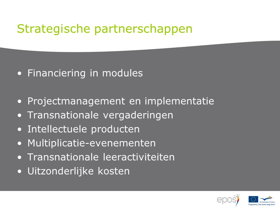 Strategische partnerschappen Financiering in modules Projectmanagement en implementatie Transnationale vergaderingen Intellectuele producten Multiplicatie-evenementen Transnationale leeractiviteiten Uitzonderlijke kosten