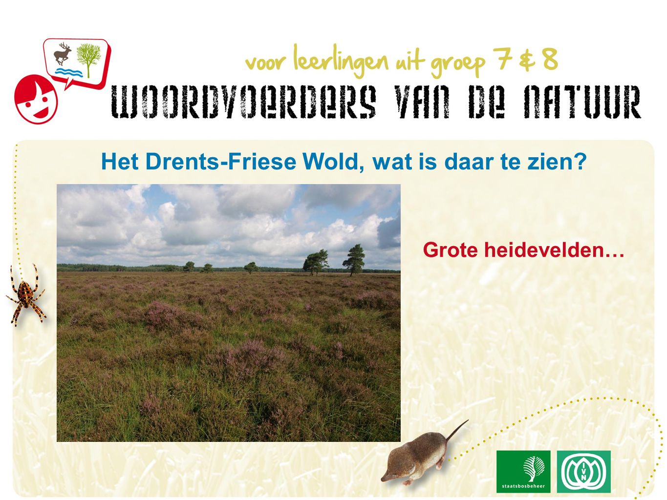 Grote heidevelden… Het Drents-Friese Wold, wat is daar te zien