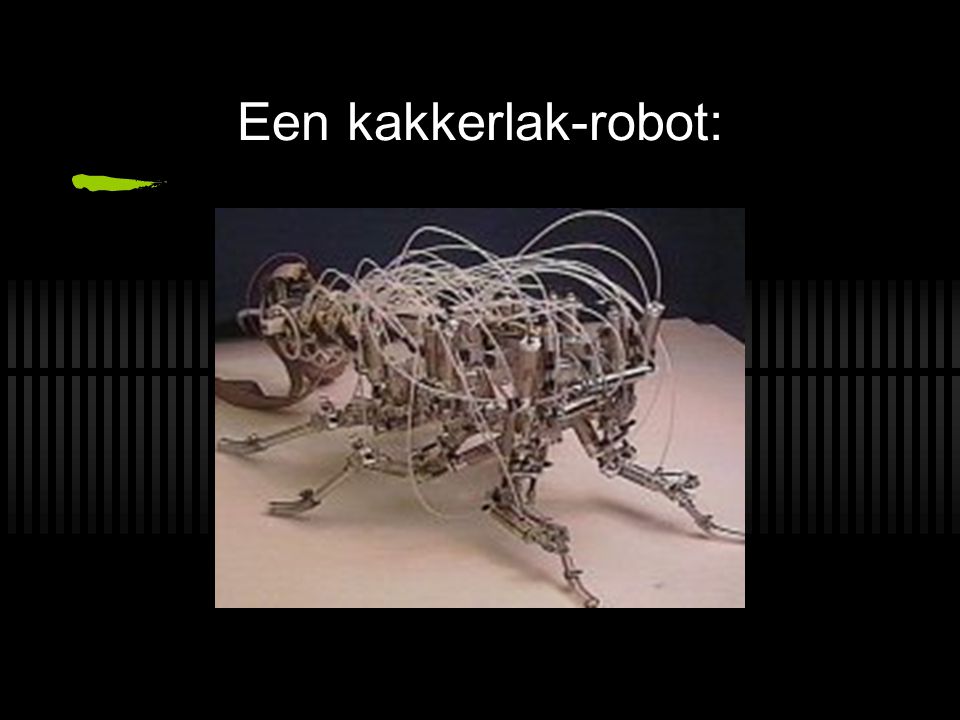 Een kakkerlak-robot: