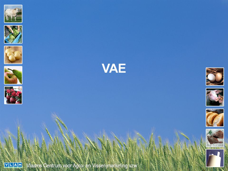 Vlaams Centrum voor Agro- en Visserijmarketing vzw VAE