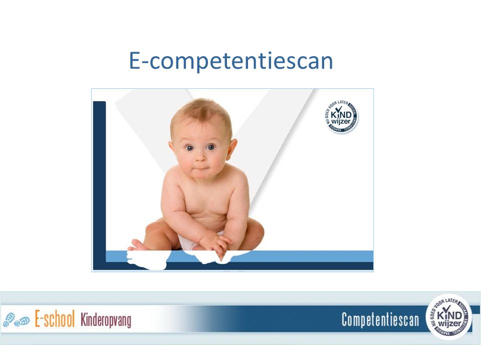 E-competentiescan