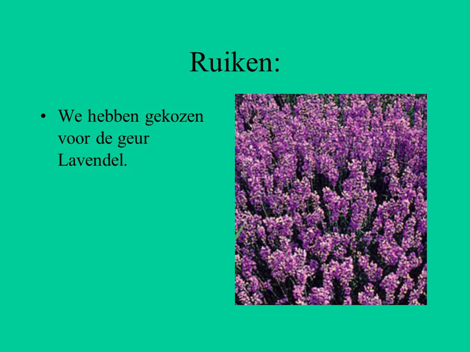 Ruiken: We hebben gekozen voor de geur Lavendel.