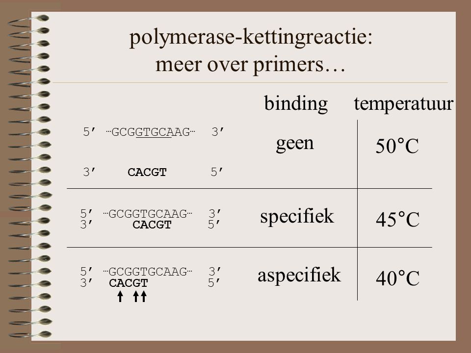 polymerase-kettingreactie: meer over primers… 5’ … GCGGTGCAAG … 3’ 3’ CACGT 5’ 45°C specifiek 3’ CACGT 5’ 5’ … GCGGTGCAAG … 3’ 40°C aspecifiek 5’ … GCGGTGCAAG … 3’ 3’ CACGT 5’ 50°C geen binding temperatuur