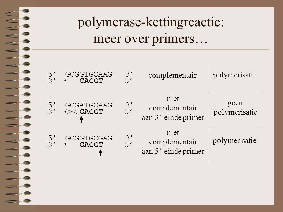 polymerase-kettingreactie: meer over primers… geen polymerisatie 5’ … GCGATGCAAG … 3’ 3’ CACGT 5’ niet complementair aan 3’-einde primer polymerisatie 5’ … GCGGTGCGAG … 3’ 3’ CACGT 5’ niet complementair aan 5’-einde primer polymerisatie 5’ … GCGGTGCAAG … 3’ 3’ CACGT 5’ complementair