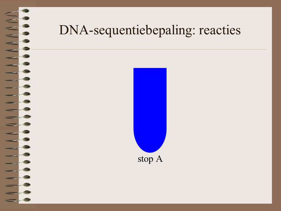 stop A DNA-sequentiebepaling: reacties