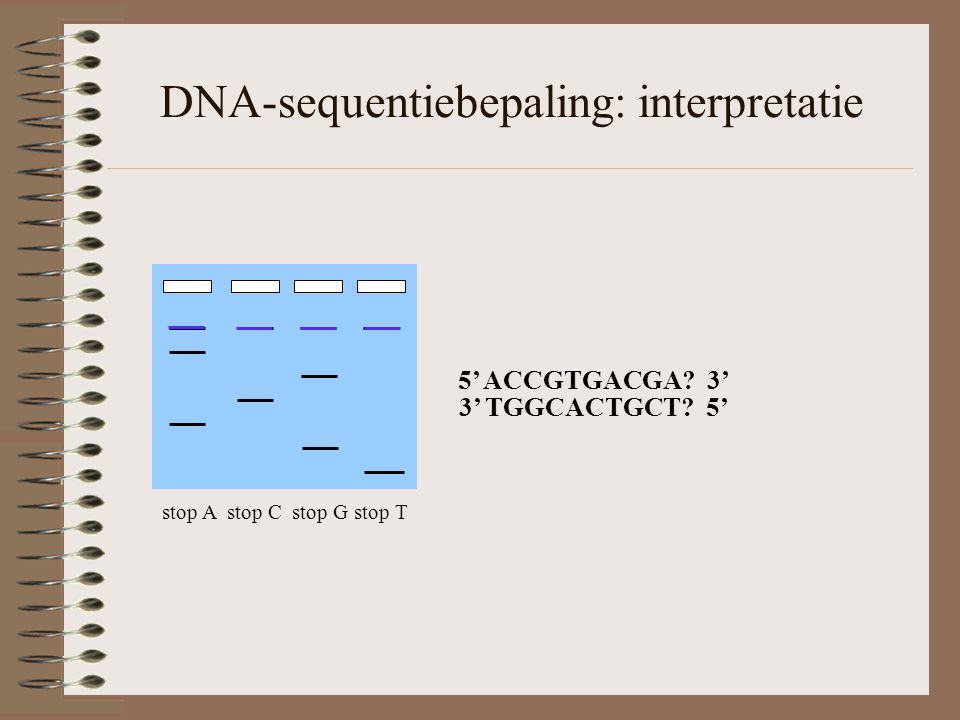 DNA-sequentiebepaling: interpretatie stop A stop C stop G stop T 5’ ACCGTGACGA.