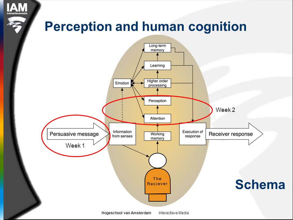 Hogeschool van Amsterdam Interactieve Media Perception and human cognition Week 1 Week 2 Schema