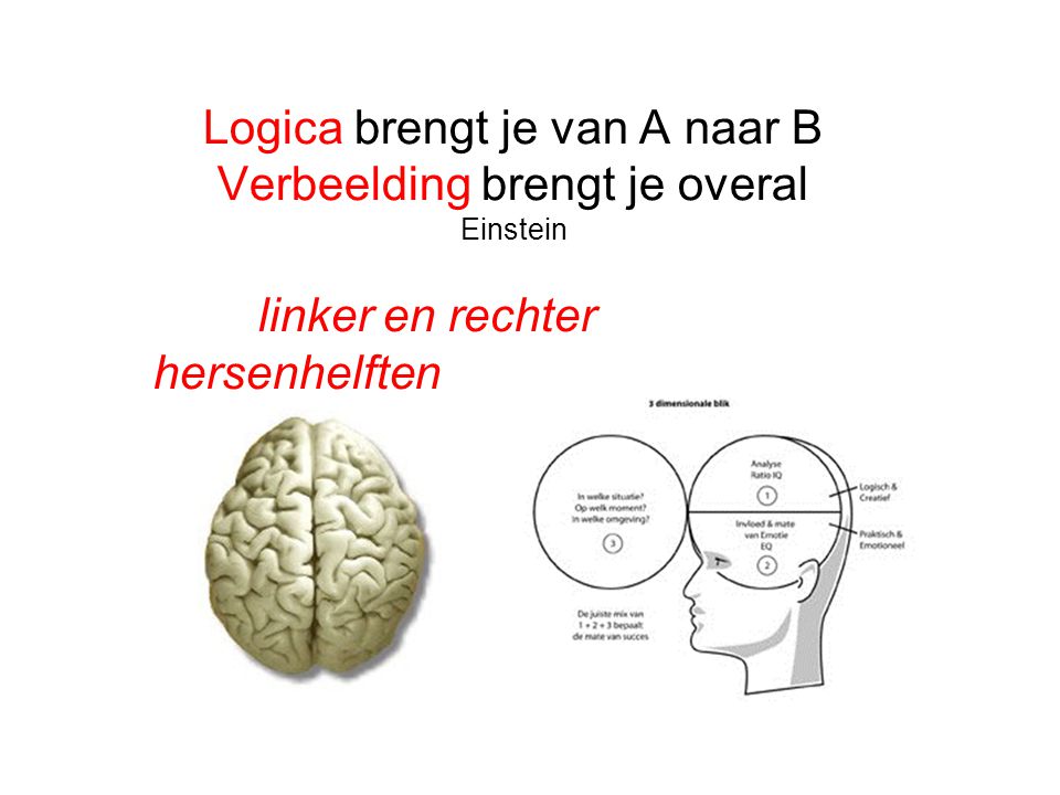 Logica brengt je van A naar B Verbeelding brengt je overal Einstein linker en rechter hersenhelften