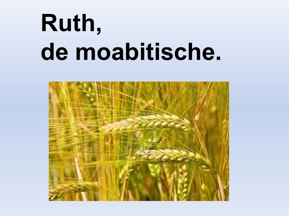 Ruth, de moabitische.