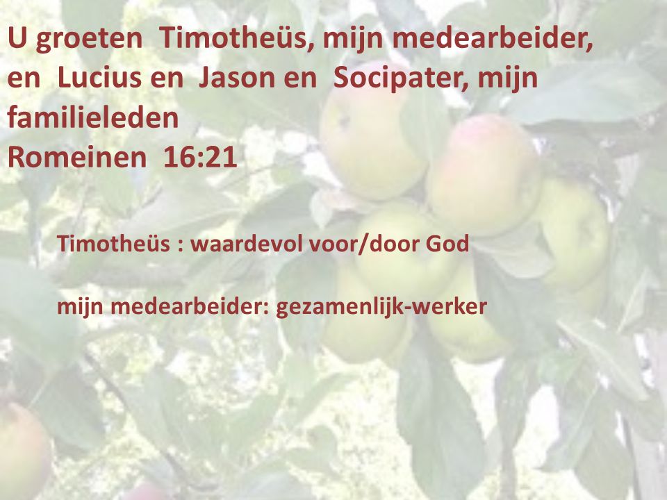 U groeten Timotheüs, mijn medearbeider, en Lucius en Jason en Socipater, mijn familieleden Romeinen 16:21 Timotheüs : waardevol voor/door God mijn medearbeider: gezamenlijk-werker