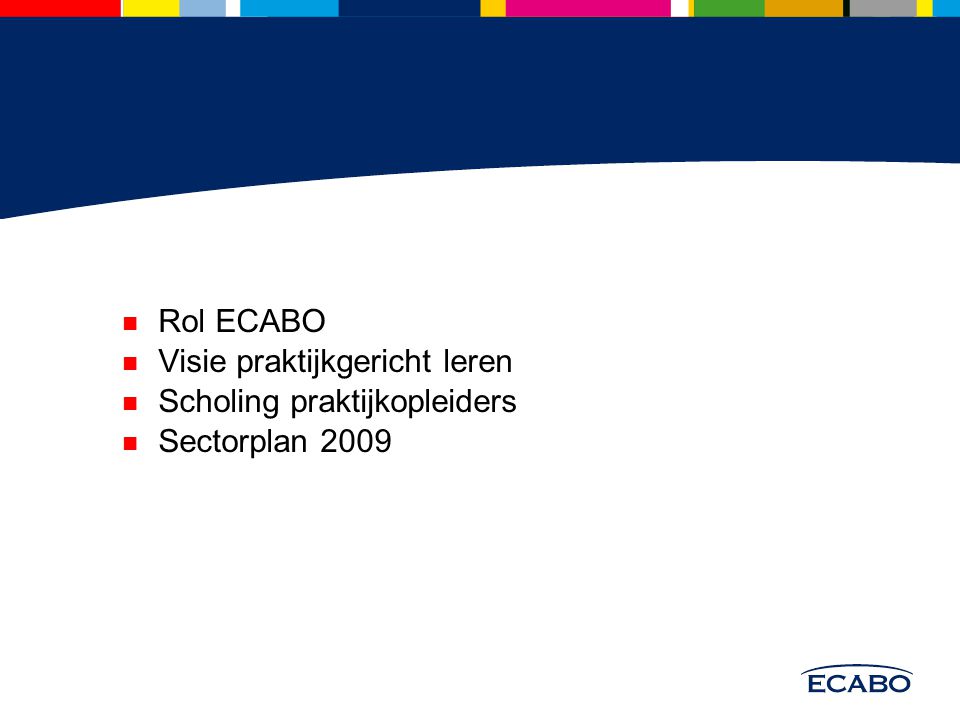 Rol ECABO Visie praktijkgericht leren Scholing praktijkopleiders Sectorplan 2009