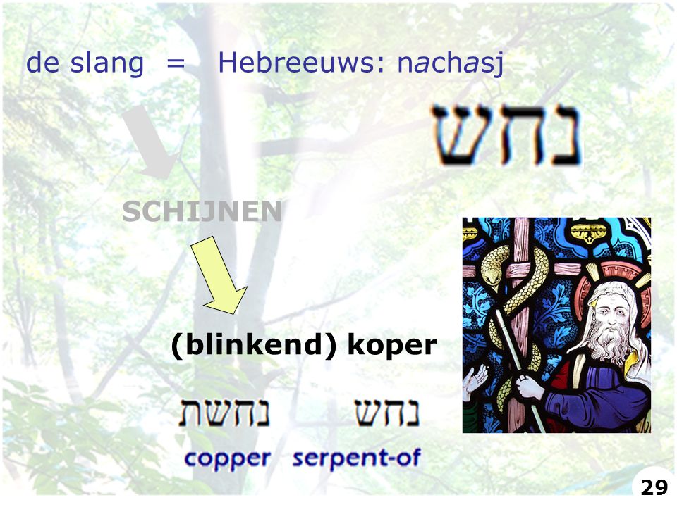 de slang = Hebreeuws: nachasj SCHIJNEN (blinkend) koper 29
