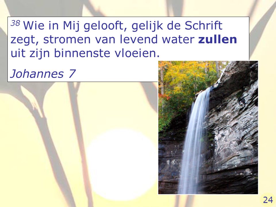 38 Wie in Mij gelooft, gelijk de Schrift zegt, stromen van levend water zullen uit zijn binnenste vloeien.