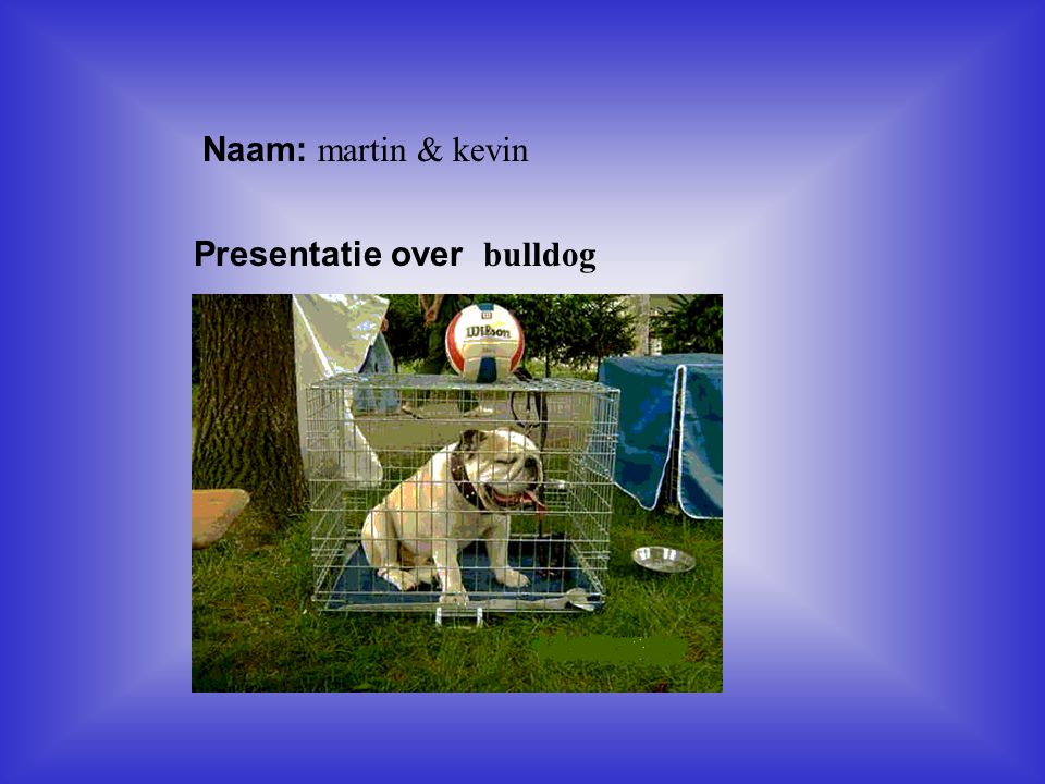 Naam: martin & kevin Presentatie over bulldog Klik op Naam .