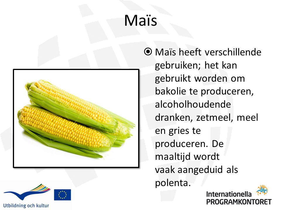 Maïs  Maïs heeft verschillende gebruiken; het kan gebruikt worden om bakolie te produceren, alcoholhoudende dranken, zetmeel, meel en gries te produceren.