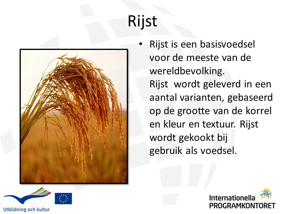 Rijst Rijst is een basisvoedsel voor de meeste van de wereldbevolking.