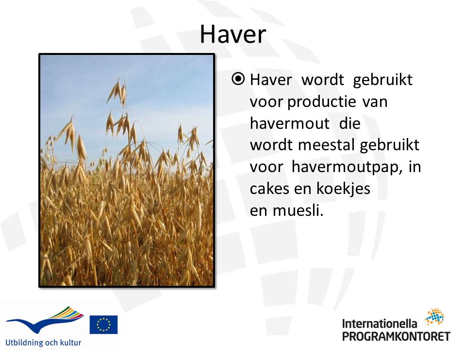 Haver  Haver wordt gebruikt voor productie van havermout die wordt meestal gebruikt voor havermoutpap, in cakes en koekjes en muesli.