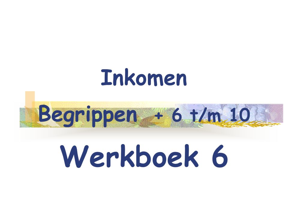 Inkomen Begrippen + 6 t/m 10 Werkboek 6