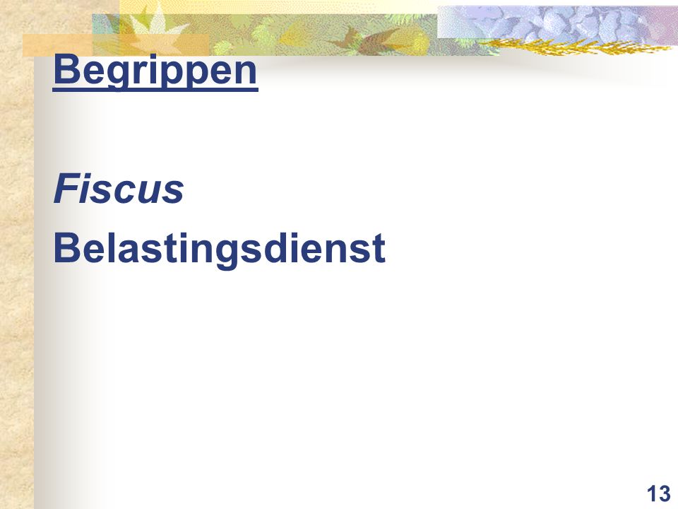 13 Begrippen Fiscus Belastingsdienst