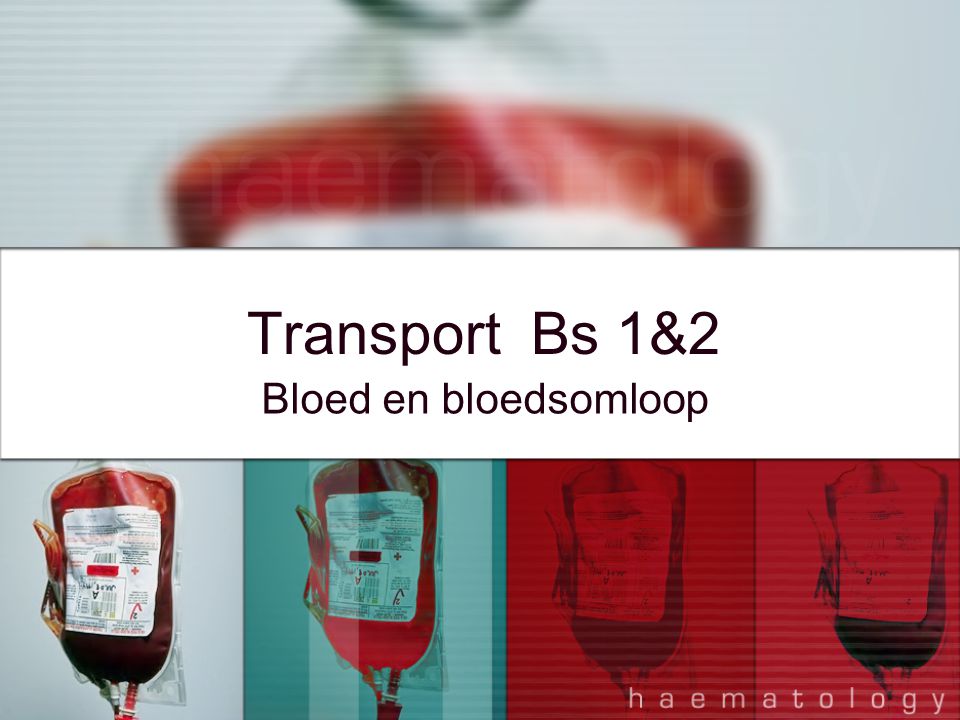 Transport Bs 1&2 Bloed en bloedsomloop