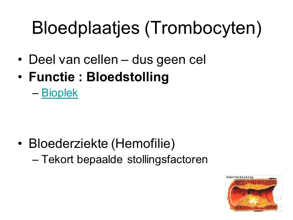 Bloedplaatjes (Trombocyten) Deel van cellen – dus geen cel Functie : Bloedstolling –BioplekBioplek Bloederziekte (Hemofilie) –Tekort bepaalde stollingsfactoren