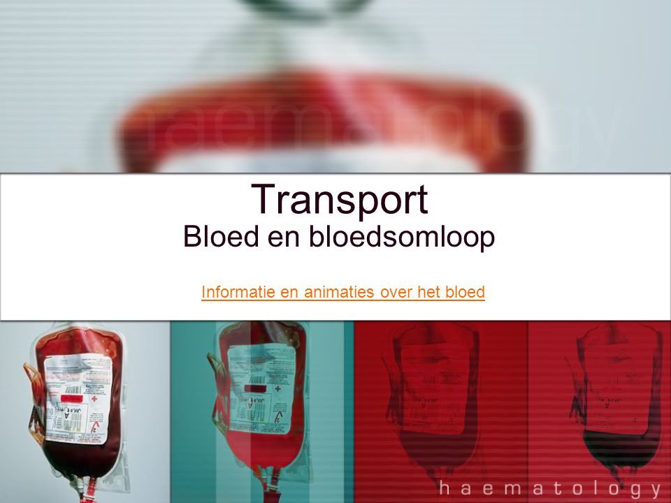 Transport Bloed en bloedsomloop Informatie en animaties over het bloed