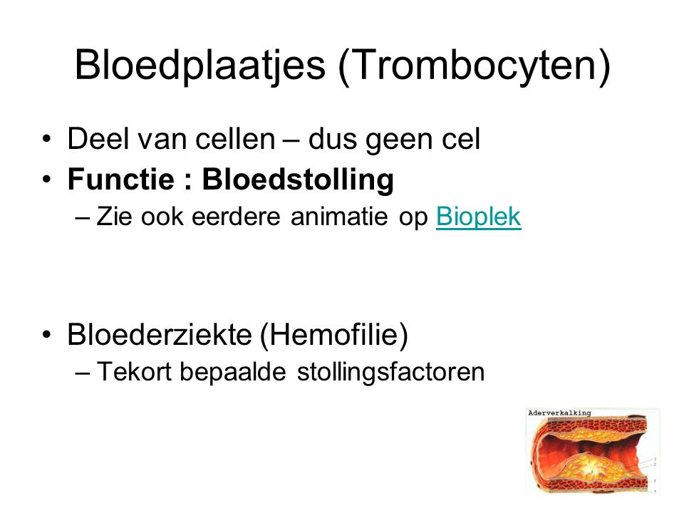Bloedplaatjes (Trombocyten) Deel van cellen – dus geen cel Functie : Bloedstolling –Zie ook eerdere animatie op BioplekBioplek Bloederziekte (Hemofilie) –Tekort bepaalde stollingsfactoren