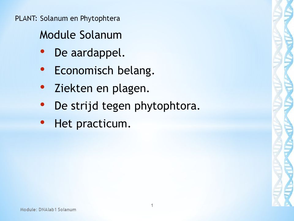 Module Solanum De aardappel. Economisch belang. Ziekten en plagen.