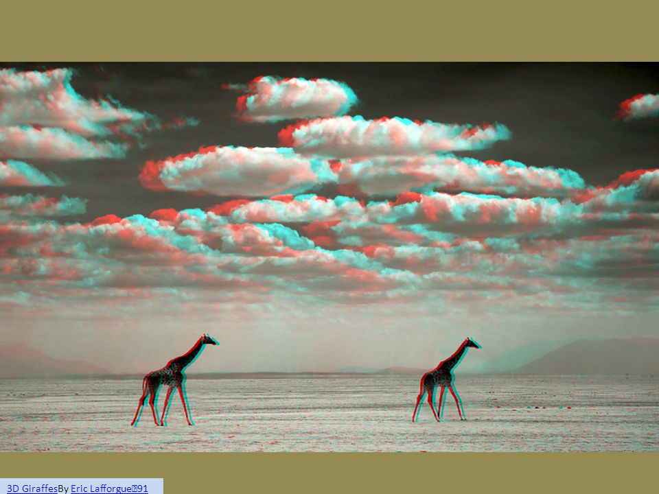 3D Giraffes3D GiraffesBy Eric Lafforgue ☆ 91Eric Lafforgue ☆ 91