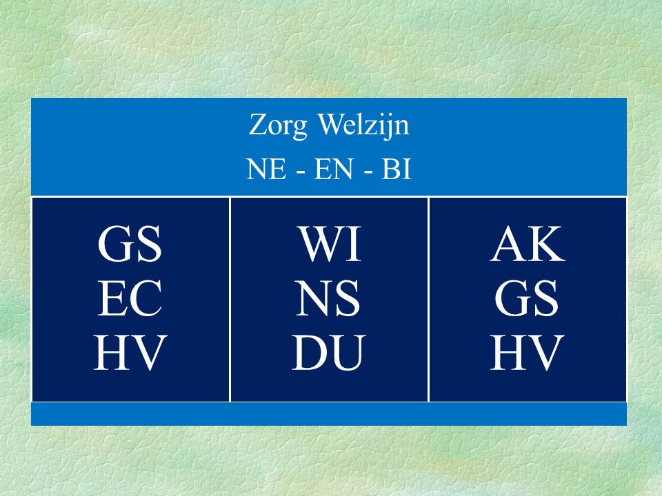 Zorg Welzijn NE - EN - BI GS EC HV WI NS DU AK GS HV
