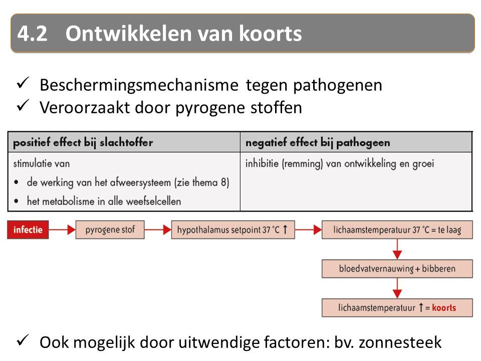4.2Ontwikkelen van koorts Beschermingsmechanisme tegen pathogenen Veroorzaakt door pyrogene stoffen Ook mogelijk door uitwendige factoren: bv.