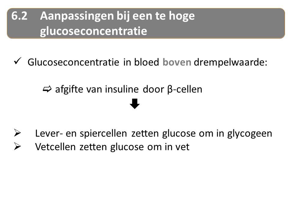 6.2Aanpassingen bij een te hoge glucoseconcentratie Glucoseconcentratie in bloed boven drempelwaarde:  afgifte van insuline door β-cellen   Lever- en spiercellen zetten glucose om in glycogeen  Vetcellen zetten glucose om in vet