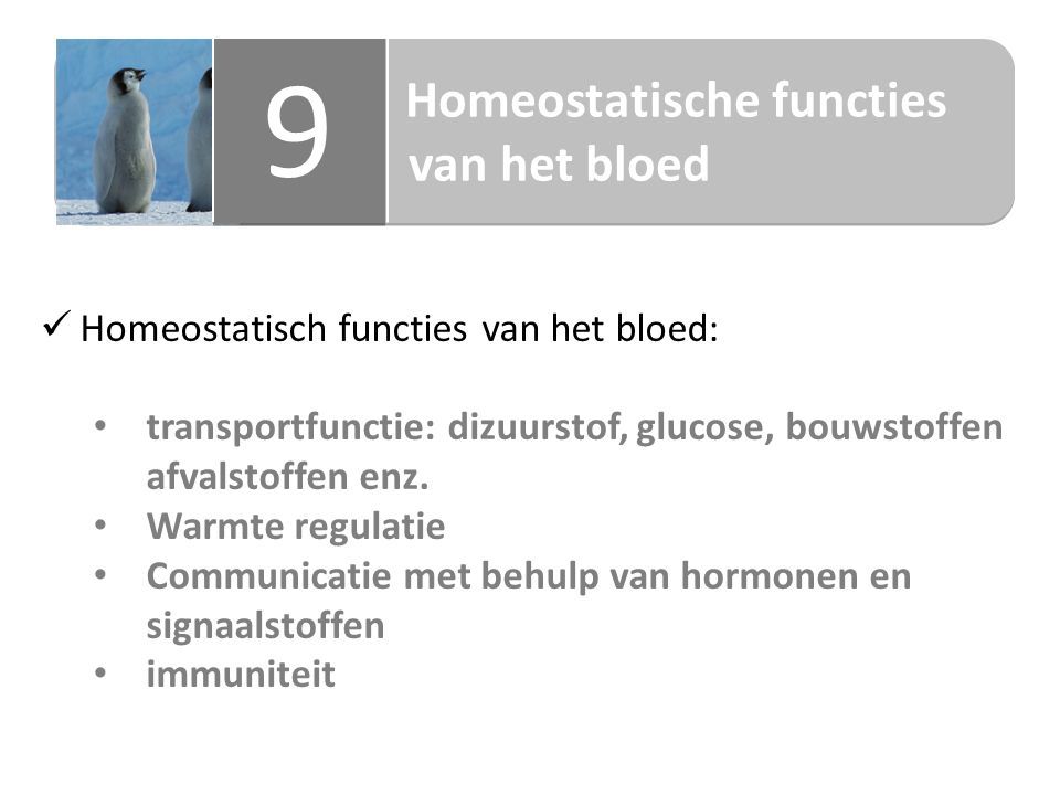 Homeostatische functies van het bloed Homeostatische functies van het bloed 9 9 Homeostatisch functies van het bloed: transportfunctie: dizuurstof, glucose, bouwstoffen afvalstoffen enz.
