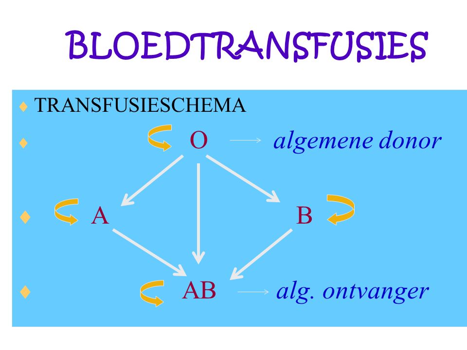 BLOEDTRANSFUSIES  TRANSFUSIESCHEMA  O algemene donor  A B  AB alg. ontvanger