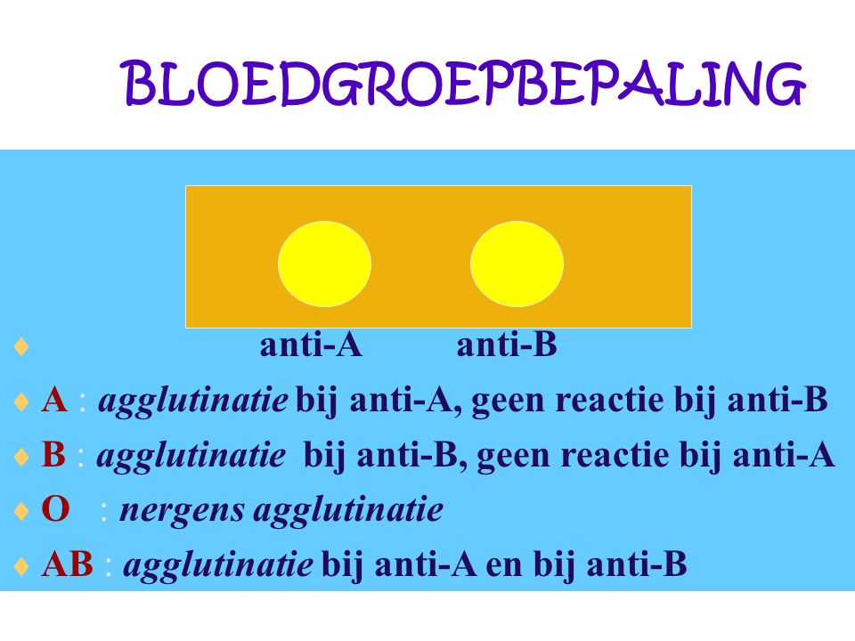BLOEDGROEPBEPALING  anti-A anti-B  A : agglutinatie bij anti-A, geen reactie bij anti-B  B : agglutinatie bij anti-B, geen reactie bij anti-A  O : nergens agglutinatie  AB : agglutinatie bij anti-A en bij anti-B