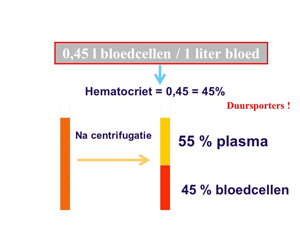 Hematocriet = 0,45 = 45% 0,45 l bloedcellen / 1 liter bloed 45 % bloedcellen 55 % plasma Na centrifugatie Duursporters !