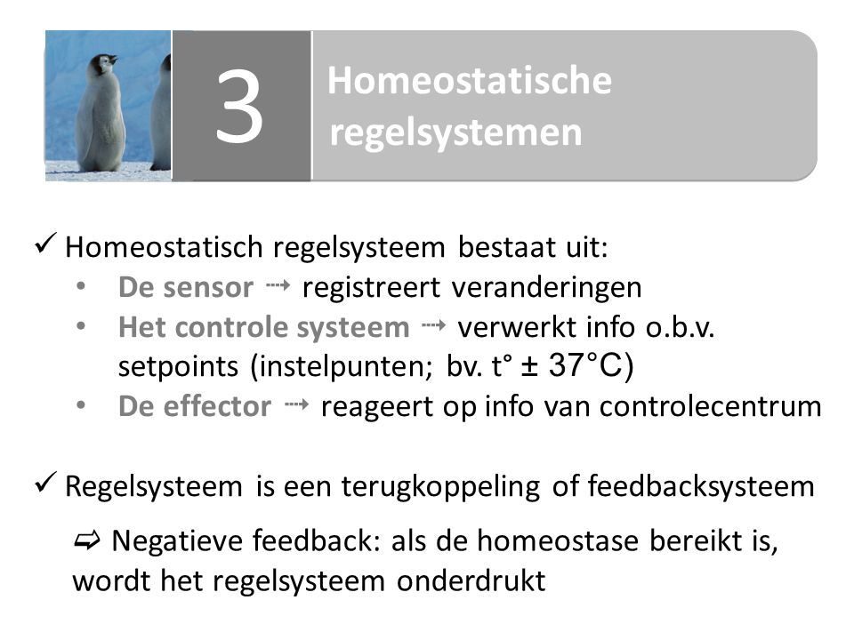 Homeostatische regelsystemen Homeostatische regelsystemen 3 3 Homeostatisch regelsysteem bestaat uit: De sensor  registreert veranderingen Het controle systeem  verwerkt info o.b.v.